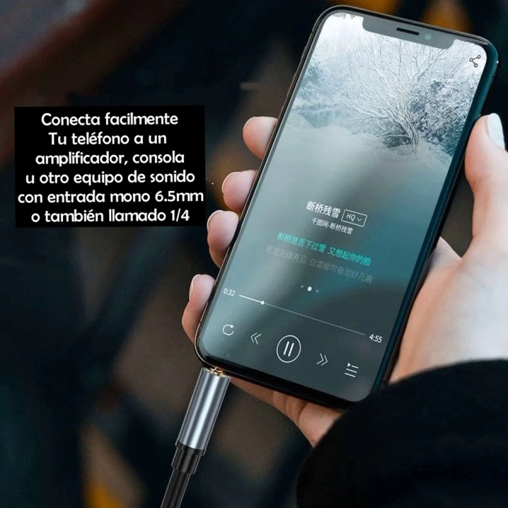 Cable 3.5mm a 6.5mm 2