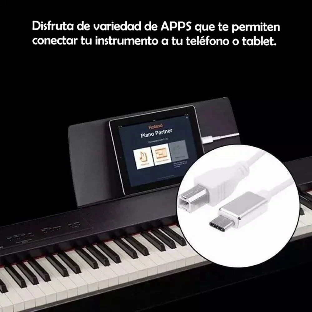 USB B MIDI a Tipo C